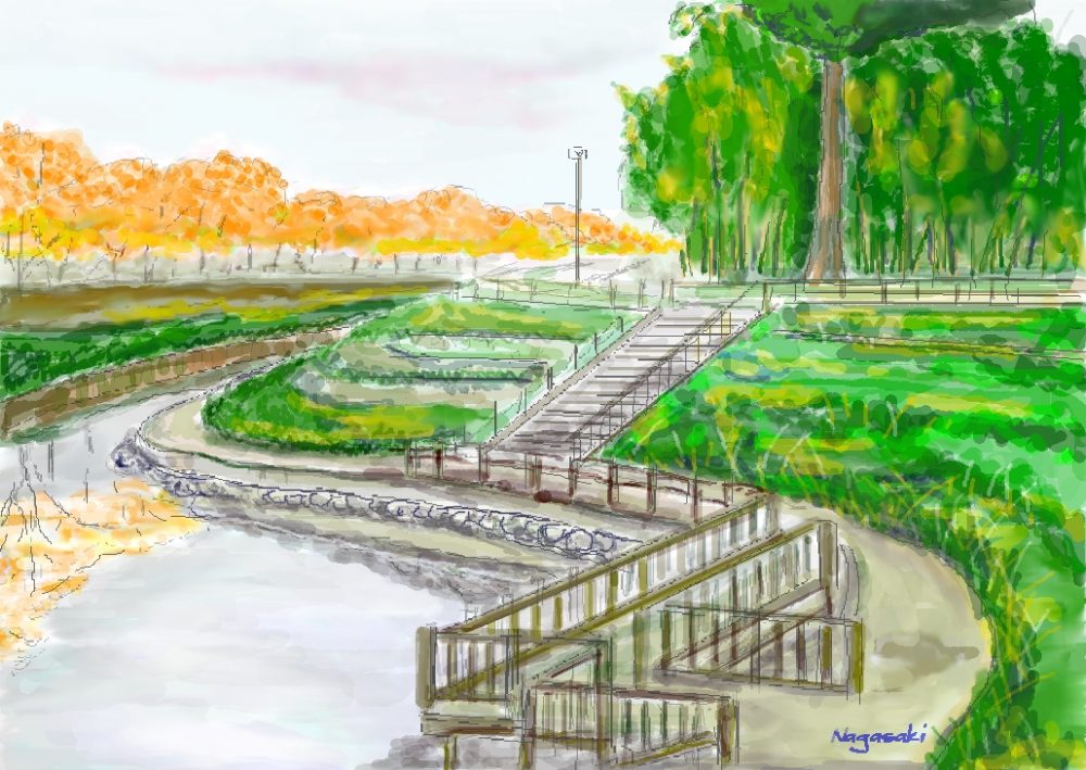 1011秋の竹林公園