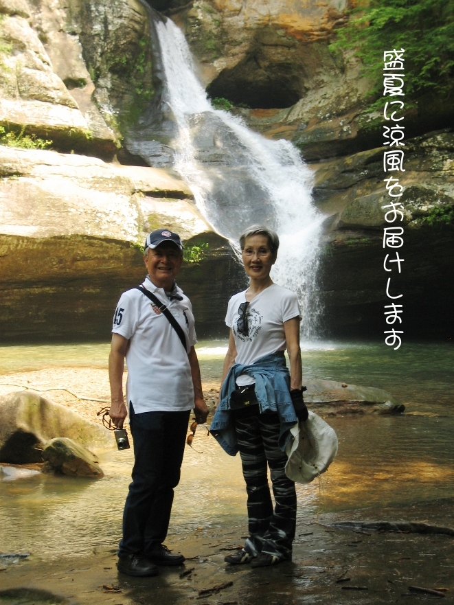 盛夏のお見舞い