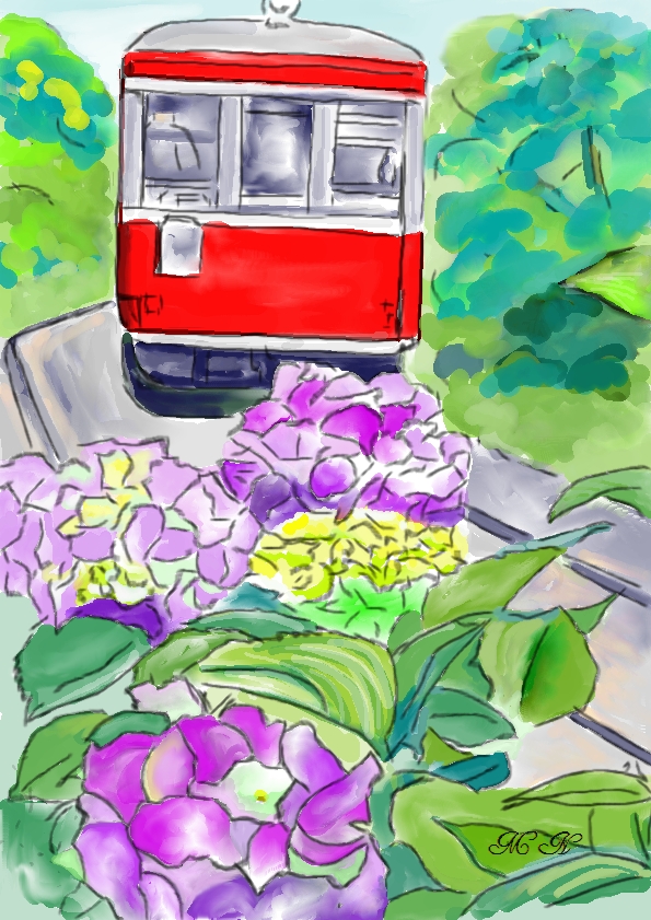 1205 あじさい電車