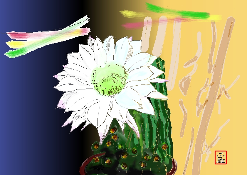 1206母のさぼてん