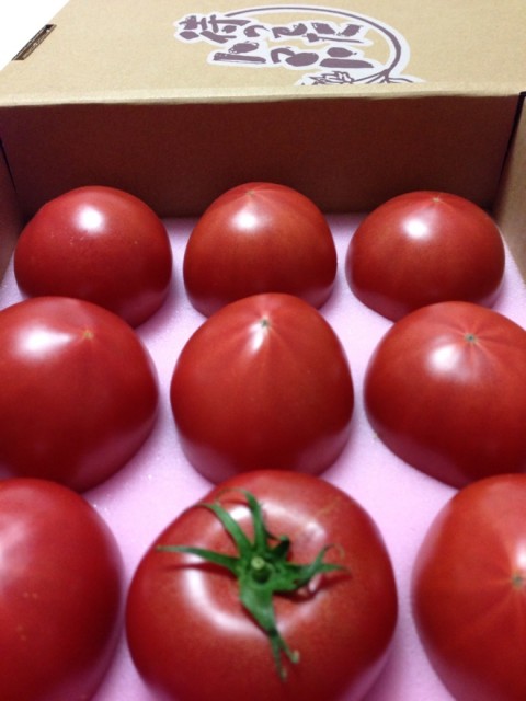 待ってたトマト